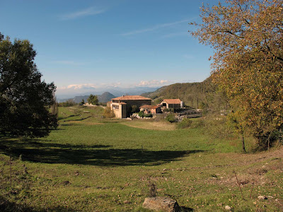 Sendero en un bosque  El contenido generado por IA puede ser incorrecto.